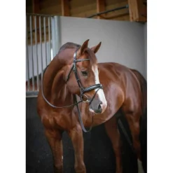 Bridon Daily - Noir & Noir