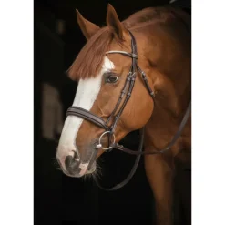 Bridon Daily Strass - Havane