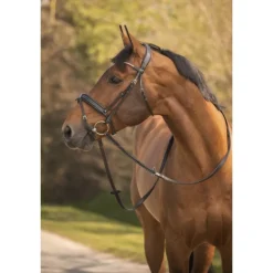 Bridon Daily Strass - Noir