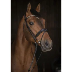 Bridon Daily Strass - Noir