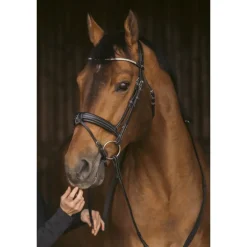 Bridon Daily Strass - Noir