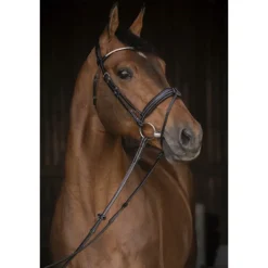 Bridon Daily Strass - Noir