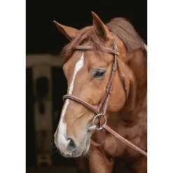 Bridon Hunter US - Noisette & Havane