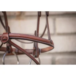 Bridon Hunter US - Noisette & Havane