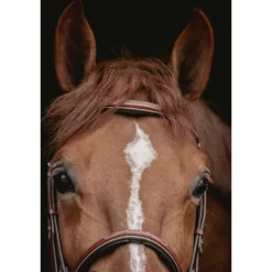 Bridon Hunter US - Noisette & Havane