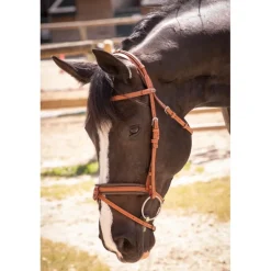 Bridon Élégance - Cognac