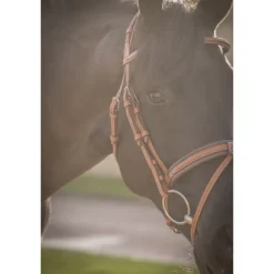 Bridon Élégance - Cognac