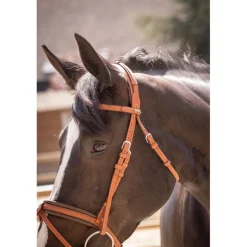 Bridon Élégance - Cognac