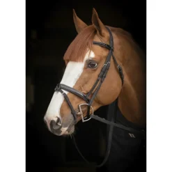 Bridon Oxford - Noir