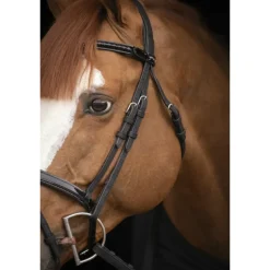 Bridon Oxford - Noir