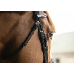 Bridon Oxford - Noir