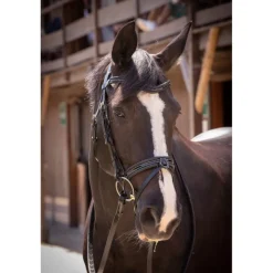 Bridon Smoothie - Noir