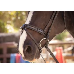 Bridon Smoothie - Noir