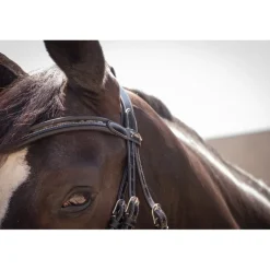 Bridon Smoothie - Noir