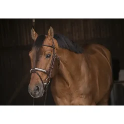 Bridon Symphonie - Havane