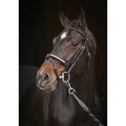 Bridon Symphonie - Noir