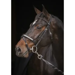 Bridon Symphonie - Noir