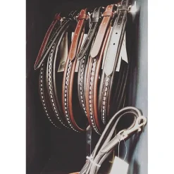 Collier pour Chien Point Sellier - Noir