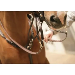 Enrênement Howlett - Havane