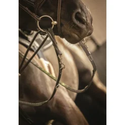 Enrênement Howlett - Noir