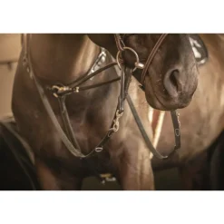 Enrênement Howlett - Noir