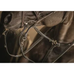 Enrênement Howlett - Noir