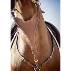 Flèche de Martingale Bip Plain Élastique - Noisette