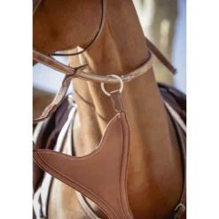 Flèche de Martingale Bip Plain Élastique - Noisette