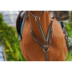 Flèche de Martingale Point Sellier - Havane