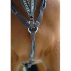 Flèche de Martingale Point Sellier - Havane