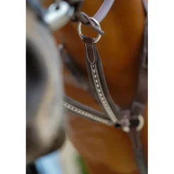 Flèche de Martingale Point Sellier - Havane