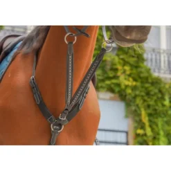 Flèche de Martingale Point Sellier - Noir