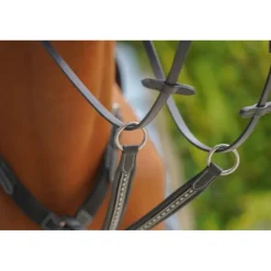 Flèche de Martingale Point Sellier - Noir