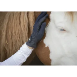 Gants d'équitation compétition - Marine