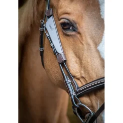 Œillères Australiennes - Havane