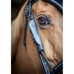 Œillères Australiennes - Noir