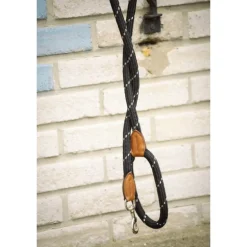 Laisse pour Chien Billie - Noir