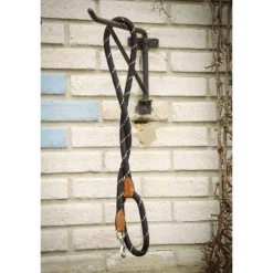 Laisse pour Chien Billie - Noir