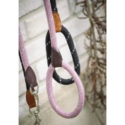 Laisse pour Chien Billie - Noir