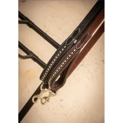 Laisse pour Chien Rubber - Noir