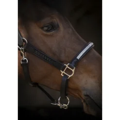 Licol Harmonie - Noir