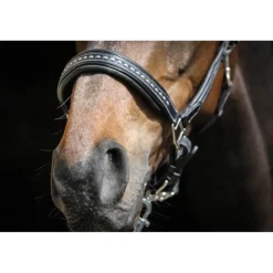 Licol Point Sellier - Noir