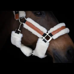 Licol Soft - Noir & Beige