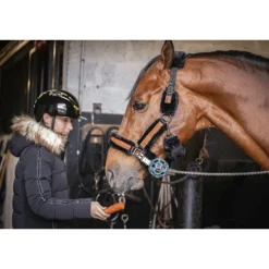 Licol Soft - Noir & Noir