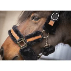 Licol Soft - Noir & Noir