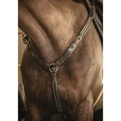 Martin-Collier - Havane