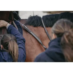 Martin-Collier - Havane