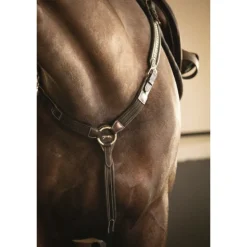 Martin-Collier - Havane