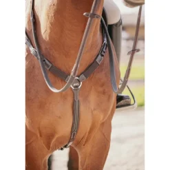 Martin-Collier - Havane