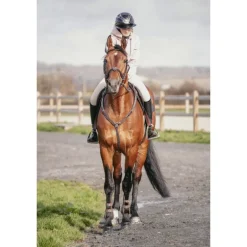 Martin-Collier - Havane